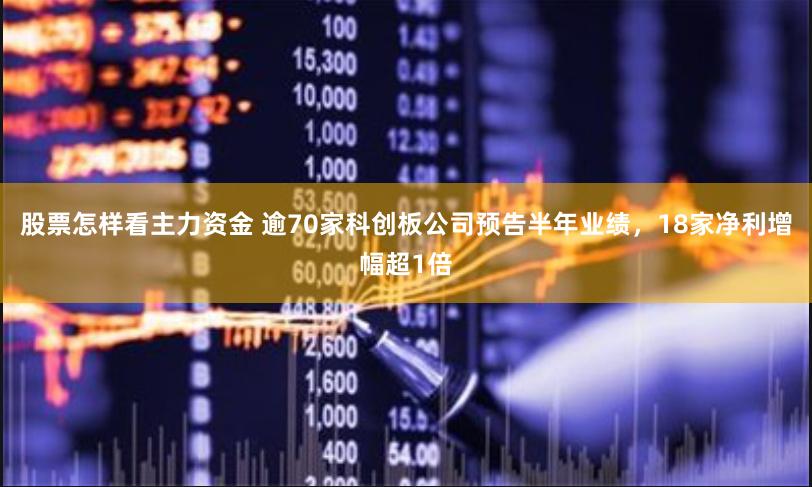 股票怎样看主力资金 逾70家科创板公司预告半年业绩，18家净利增幅超1倍